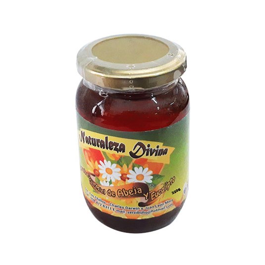 Jarabe Con Miel De Abeja Naturaleza Divina 32