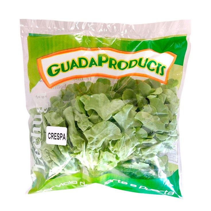 Lechuga Crespa Hidroponica Guadaproducts 190