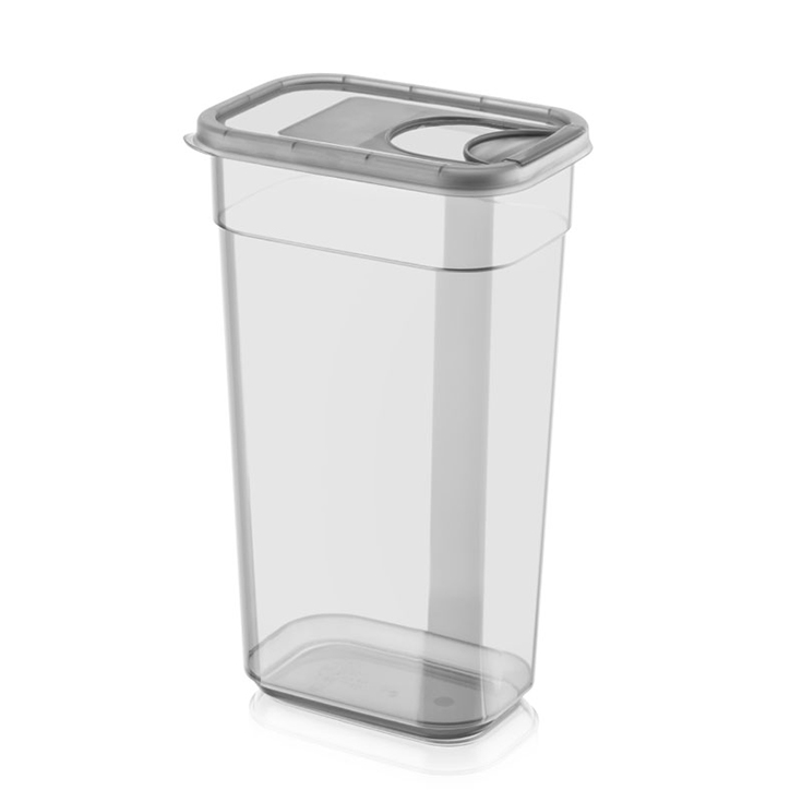 Envase De Almacenamiento Rectangular Con Tapa Desl
