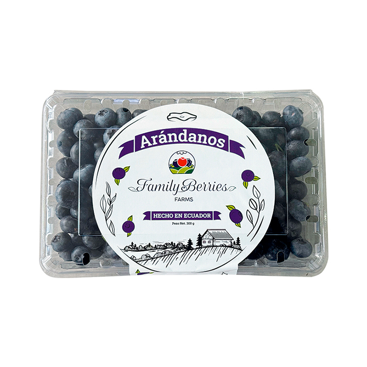 Arandano Hidroponico Family Berries Farms 300Gr