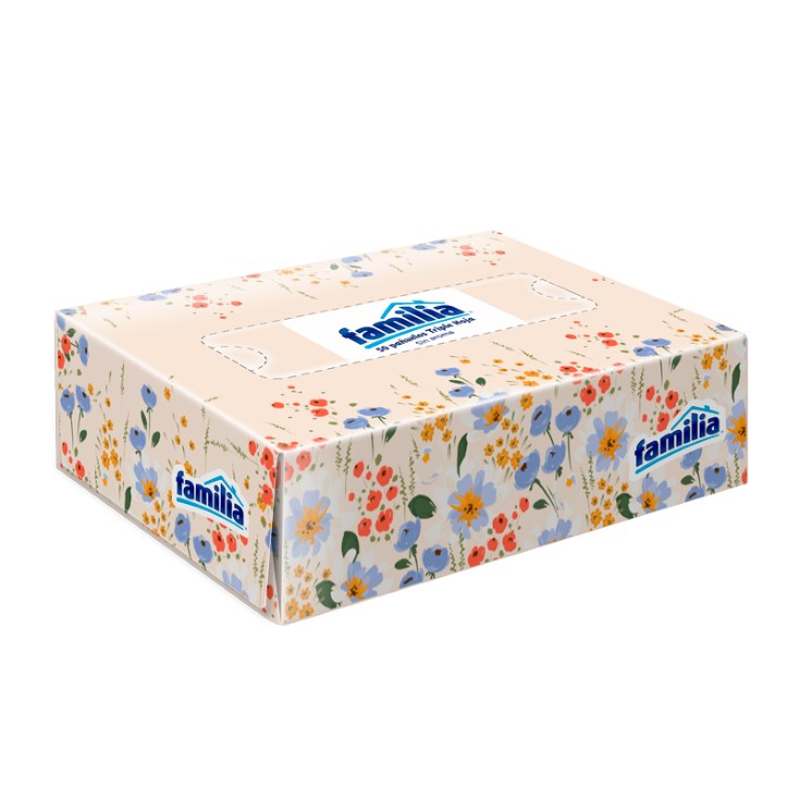Pañuelo Facial Caja Familia X 50 Uni