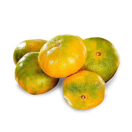 Mandarina Ambateña Kg