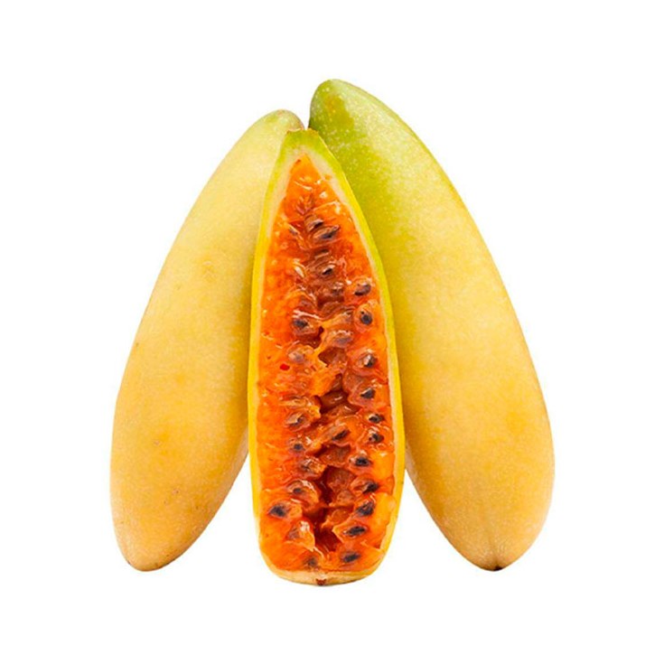 Taxo Kg