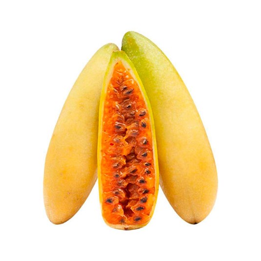 Taxo Kg