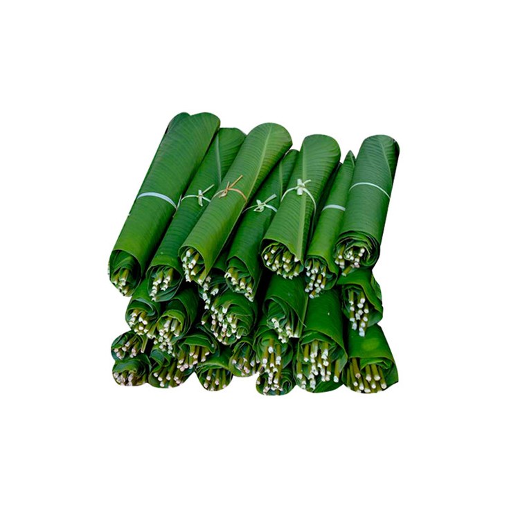 Hoja De Atchira Atado Uni