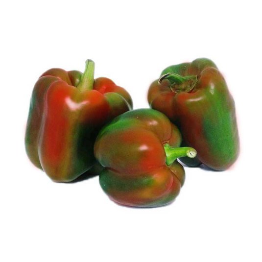 Pimiento Rojo/Verde Kg