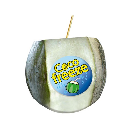 Coco Tierno Coco Freeze Uni