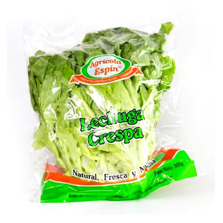 Lechuga Crespa Proagrip