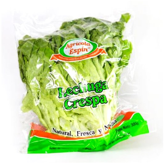 Lechuga Crespa Proagrip